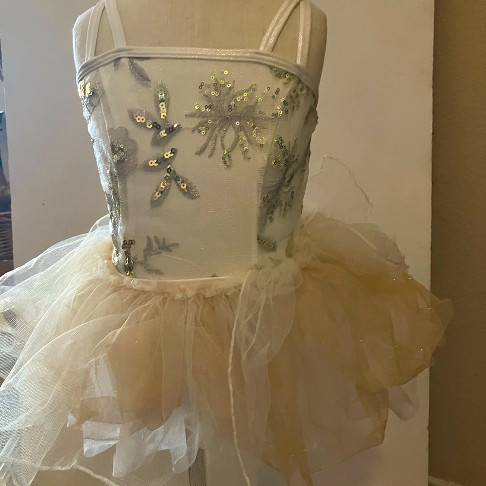 Dance leotard  and both skirts included